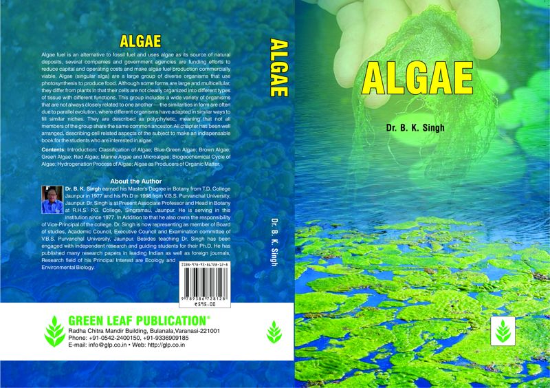 25_08_2017_17_40_55_algae.jpg